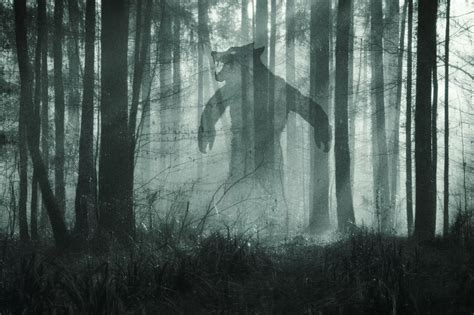 The Legend of Michigan's Dogman | Northern Michigan History