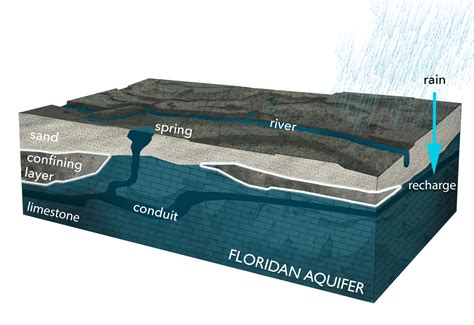 About The Aquifer And Springs Blue Water Audit