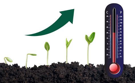 How Air Temperature Affects The Growth Of Plants Atfield Technologies