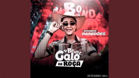 Meu Primo Gay YouTube