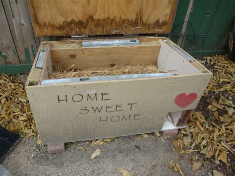 Winter Weather Proofing Feral Cat Colonies Tree House Humane Society