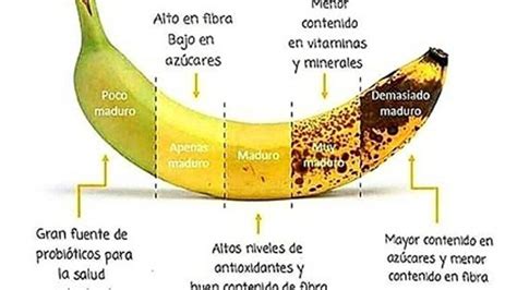 Comer un plátano diario engorda Mito o realidad Todo Engorda