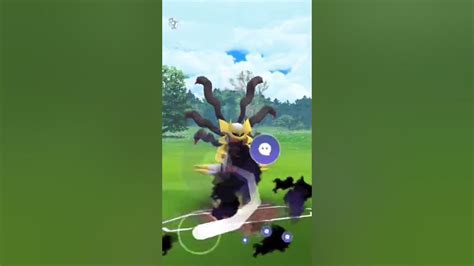 Psystrike Mewtwo Vs Shadow Ball Mewtwo In Pokemon Go Ultra League Battle Shorts Youtube