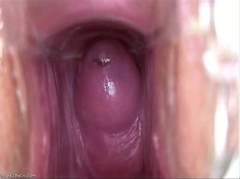 Echa Un Vistazo Al Interior XVIDEOS