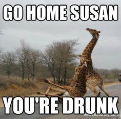 Susan Memes Ideas Memes Funny Memes Funny Pictures