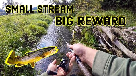 October Trout Fishing Small Stream Big Reward YouTube