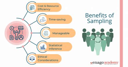 Population Vs Sample Definitions Differences And Example