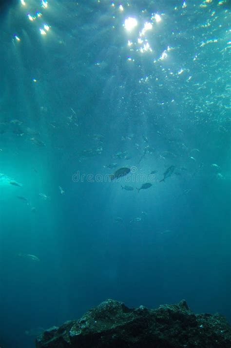 Abyss stock photo. Image of green, peace, ocean, oceans - 567982