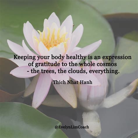 15 Best Mindfulness Quotes by Thich Nhat Hanh - Abundance Coach for ...