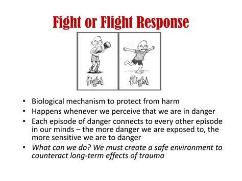 Ppt Trauma Theory Powerpoint Presentation Free Download Id911950