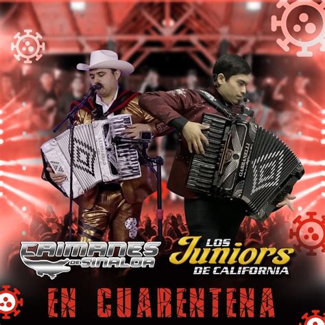 Los Juniors De California Caimanes De Sinaloa La Plebada Lyrics