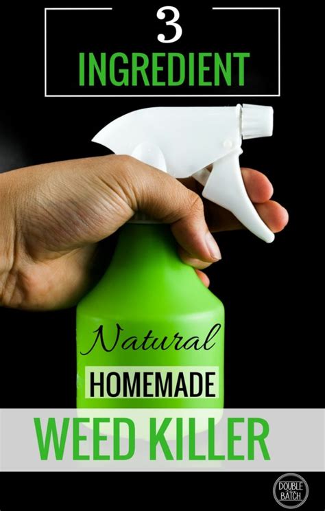 3 Ingredient Natural Weed Killer Homemade Weed Killer Recipe