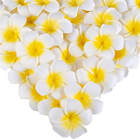 Amazon Sallyfashion Pcs Inch Foam Artificial Plumeria Rubra