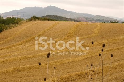 Spanish Countryside Stock Photo Royalty Free Freeimages