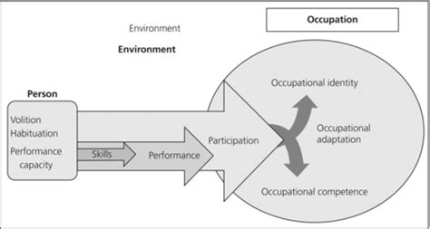 Model Of Human Occupation Moho Week Flashcards Quizlet