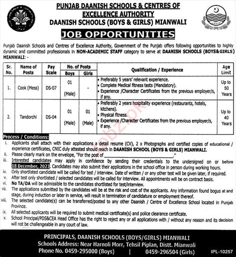 Punjab Danish Schools Mianwali Jobs Mianwali City Pk