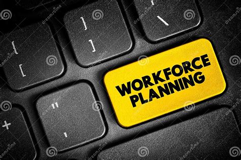 Workforce Planning Generating Information Analysing It To Inform Future Demand For People And