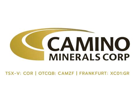 Camino Minerals Perfil de empresa Minería en Línea