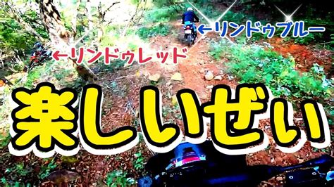 【伊豆の林道 】off車6台で走る（広場から鳥居まで） やっぱり鳥居は楽しかった【伊豆林道倶楽部】【sl230 】 Youtube