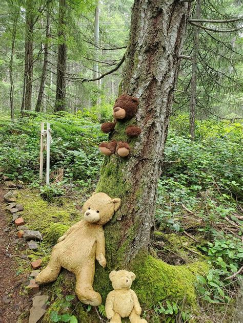 20 Hungry Trees Sucking On Things They Came In Contact With Demilked