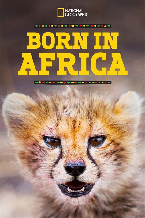 Born In Africa Tv Series 2018 2019 Posters — The Movie Database Tmdb