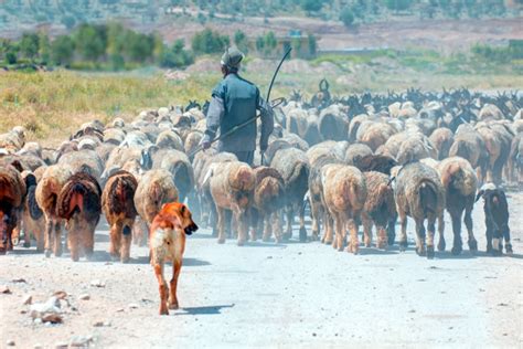 Bakhtiari Nomads are one of cultural attractions of Iran.