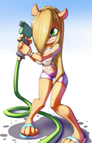 Crash Bandicoot Luscious Hentai Manga Porn