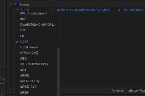 Cómo utilizar Adobe Media Encoder para exportar proyectos de Adobe