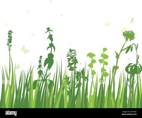 Green Grass Meadow Stock Vector Image And Art Alamy