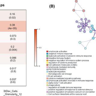 Identification And Enrichment Analysis Of Correlated Gene Modules In