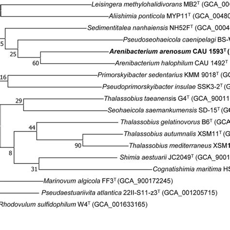 Phylogenetic Tree Constructed With The UBCG Pipeline Based On Genome