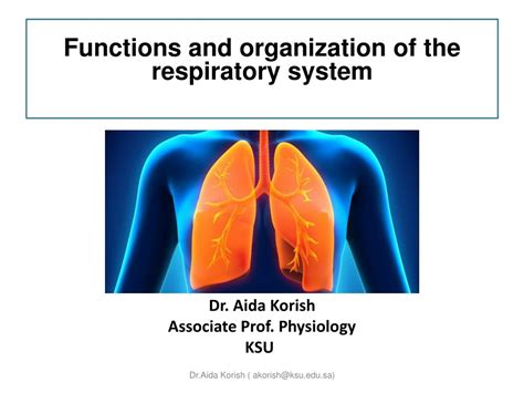 Ppt Respiratory Physiology Powerpoint Presentation Free Download