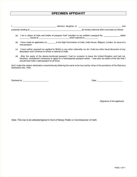 Affidavit Of Birth 9 Examples Format Pdf