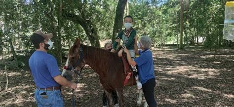 Equoterapia APAE De Mogi Das Cruzes