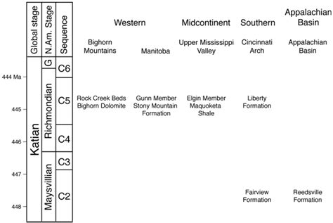 Diversity | Special Issue : Marine Biodiversity