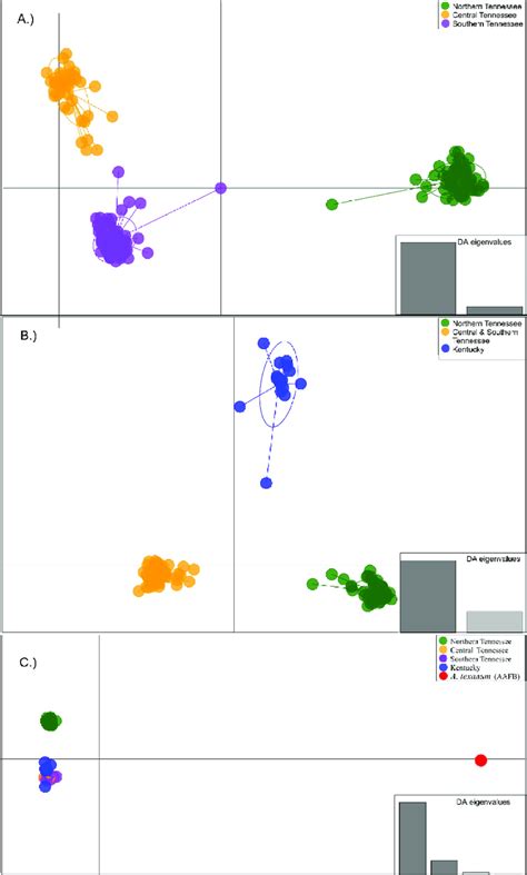 Scatter Plot From Discriminant Analysis Of Principal Components Dapc