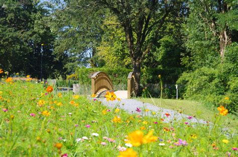 Découvrez les gagnants du concours des villes villages et maisons