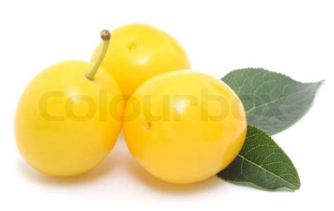 Yellow Plums Stock Image Colourbox