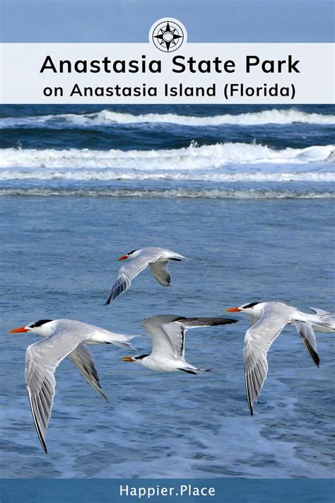 Anastasia State Park On Anastasia Island Florida Video State