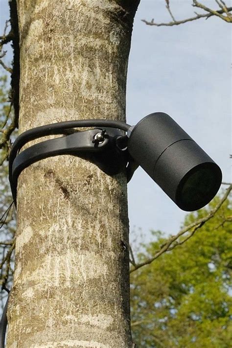 Elipta Strap Mount Tree Spotlight Mr16 Black Outdoor Tree Lighting