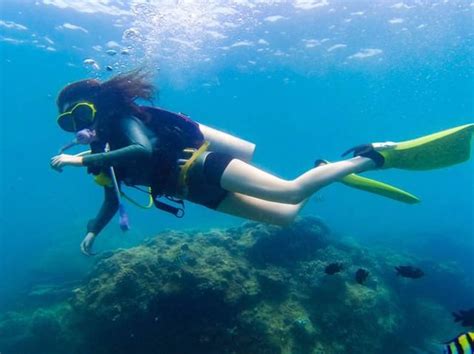 Mabul Island, Malaysia : r/diving