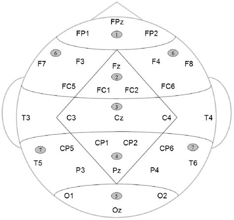 Scalp Electrode Montage 17 Standard International 10 20 System