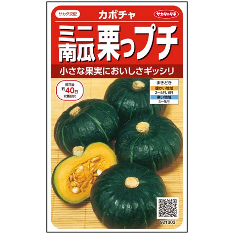 栗っプチ 南瓜 E 種や｜国内最大級の野菜種・花種・苗・農業資材の販売店