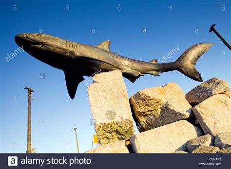 A Statue Of A Grey Reef Shark Outside The Deep Hull East Yorkshire