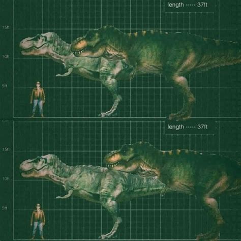 Bull Vs Buck Size Comparison In Jurassic Park World Jurassic