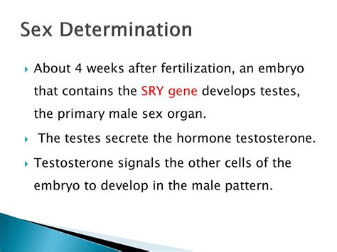 Variations And Mutations Ppt Download