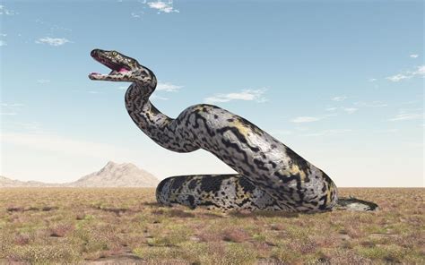 Giant Prehistoric Snake Fossil Discovered in Gujarat, India ...