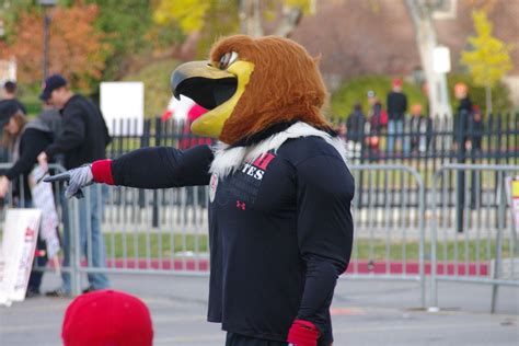 Swoop of the Utah Utes. | Fight song, Sexist, Songs