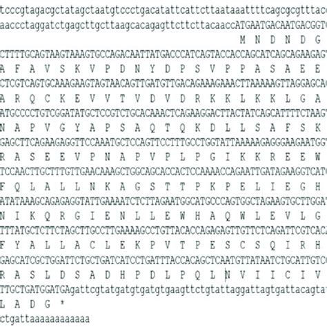 Nucleotide And Deduced Amino Acid Sequence Of Mn Gem The Nucleotide