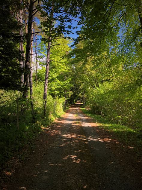 Grandes Travers Es Du Jura Gtj Itin Raire Gravel De Mandeure